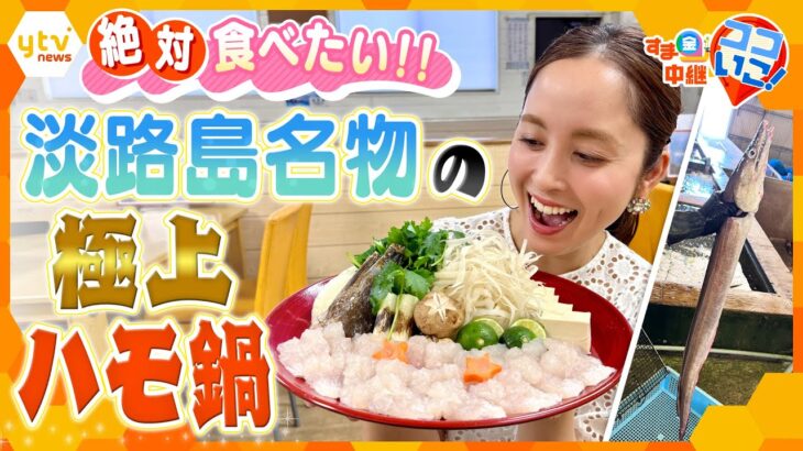 絶対食べたい！淡路島名物の極上ハモすき鍋＆夏しか食べられない希少なハモの○○とは？【す・またん！】