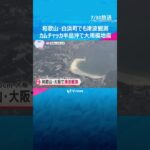 【上空から中継】和歌山・白浜町でも津波観測、海水浴場は遊泳禁止に　カムチャッカ半島沖で大規模地震　#tiktokでニュース #読売テレビニュース