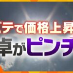 【ヨコスカ解説】コメも豚も鶏も？人だけじゃない…暑さで食卓にも影響が　夏バテで価格上昇で食卓がピンチ！？