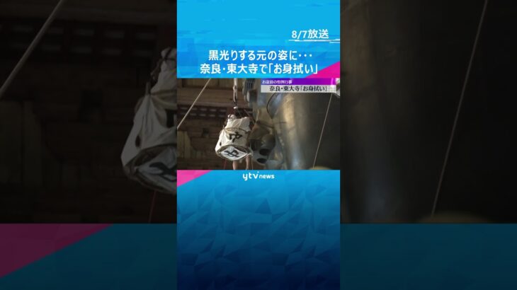 1年分のほこりがもうもうと…奈良・東大寺で大仏の「お身拭い」お盆を迎える準備整う