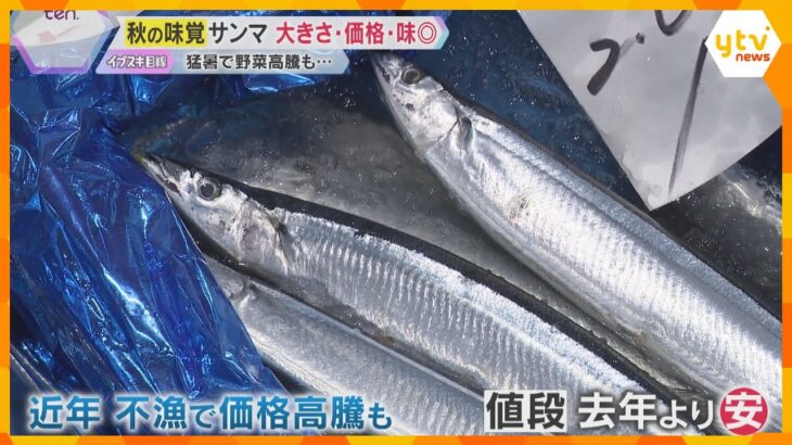 【秋の味覚に明暗】サンマは豊漁で大きさ2倍！価格も味も良し　野菜は猛暑で価格高騰