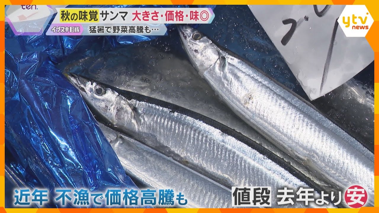 【秋の味覚に明暗】サンマは豊漁で大きさ2倍！価格も味も良し　野菜は猛暑で価格高騰
