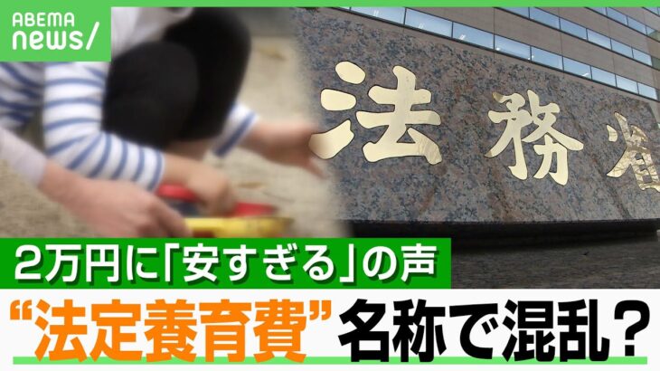 【法定養育費】なぜ月2万円？「安すぎる」ネットで物議に…高額だと何が問題？法務省「名称から誤解も…」｜アベヒル