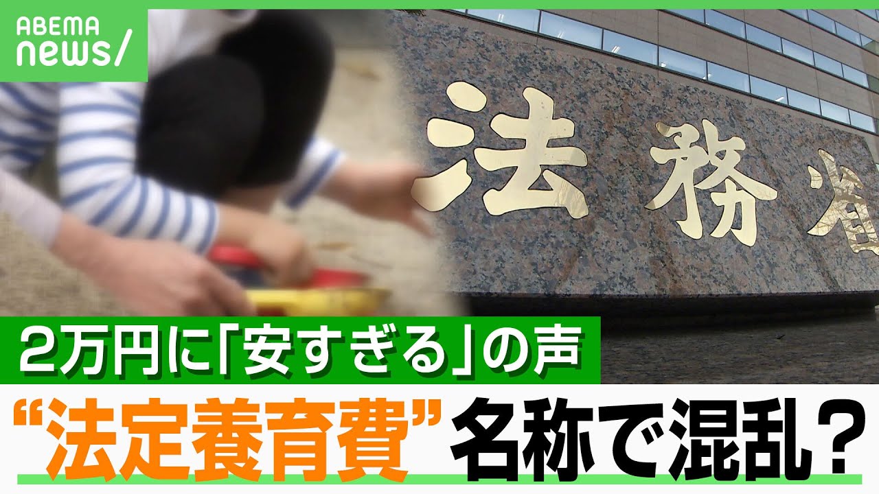 【法定養育費】なぜ月2万円?「安すぎる」ネットで物議に…高額だと何が問題?法務省「名称から誤解も…」|アベヒル