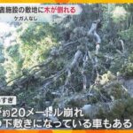 高齢者施設の敷地に木が倒れ、車3台が下敷きに　車内に人は乗っておらず、ケガ人なし　奈良・三郷町