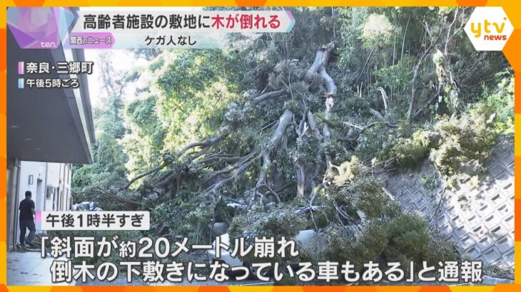 高齢者施設の敷地に木が倒れ、車3台が下敷きに　車内に人は乗っておらず、ケガ人なし　奈良・三郷町