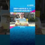 【猛暑】京都市は最高気温36.2℃、公園の遊具も危険な暑さ　体感温度は子どもの方が高いので要注意　#shorts #読売テレビニュース