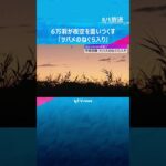 6万羽が夜空を覆いつくす　日本最大級の「ツバメのねぐら入り」奈良・平城宮跡の夏の風物詩　#shorts #読売テレビニュース