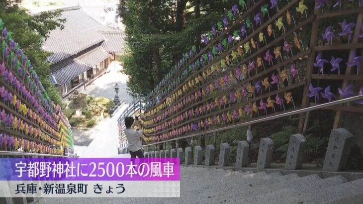 涼を求めて・・兵庫県新温泉町の宇都野神社に２５００本の風車、出石町の出石城跡には４００個の風鈴