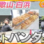 白浜の町が奮闘！「一年中楽しめる大人の隠れ家旅館」「老舗菓子店手掛ける“新”店舗」「砂浜ピアノコンテスト」“ピンチをチャンス”にそれぞれの一手とは【かんさい情報ネット ten.特集/カラフル】