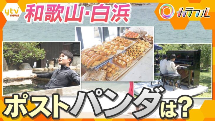 白浜の町が奮闘！「一年中楽しめる大人の隠れ家旅館」「老舗菓子店手掛ける“新”店舗」「砂浜ピアノコンテスト」“ピンチをチャンス”にそれぞれの一手とは【かんさい情報ネット ten.特集/カラフル】