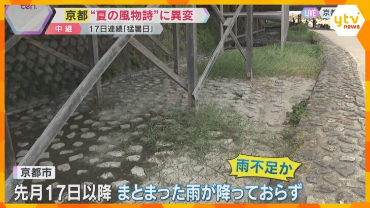 京都“夏の風物詩”に異変　納涼床の「みそそぎ川」の水が干上がり、川底にひび割れ　雨が少ない影響か