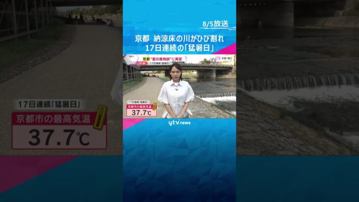 京都“夏の風物詩”に異変　納涼床の「みそそぎ川」の水が干上がり、川底にひび割れ　雨が少ない影響か　#shorts #読売テレビニュース