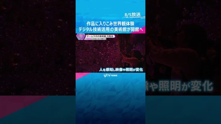 空間全体が作品、中に入りこみ世界観を体験　デジタル技術を活用した美術館が秋に開館へ　京都市南区　#shorts #読売テレビニュース