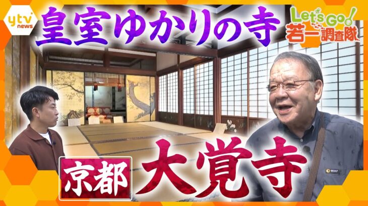 【若一調査隊】日本最古の庭池や院政が行われた部屋を特別公開！平安時代の雅が体感できる皇室ゆかりの門跡寺院大覚寺の魅力を調査！
