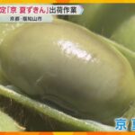 夏限定枝豆「京 夏ずきん」出荷　粒が大きく、コクのある甘みとモチモチ食感が特徴　京都・福知山市