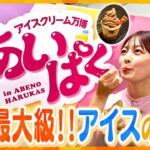 マニア厳選！全国ご当地アイスが集結する日本最大級のアイスクリーム万博「あいぱく」【す・またん！】