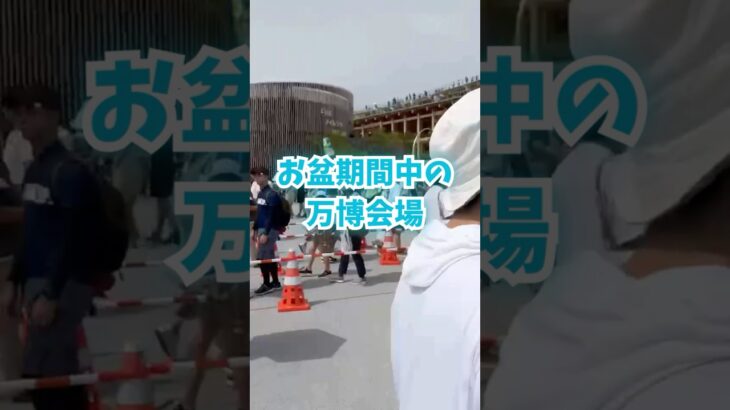 万博会場、お盆はどんな感じ？#大阪関西万博 #万博 #読売テレビニュース