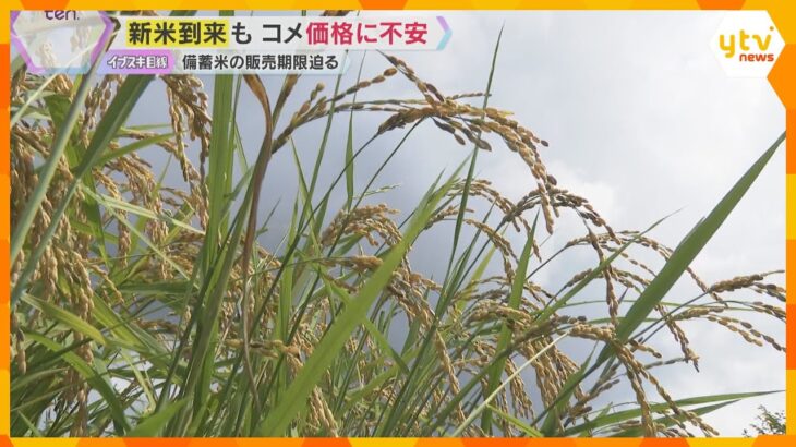 『備蓄米を食べてから買おうかと』新米の季節到来　近畿でも店頭に並ひ始める　コメ騒動は収束するか？