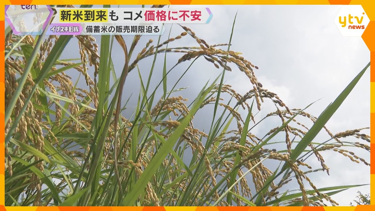 『備蓄米を食べてから買おうかと』新米の季節到来　近畿でも店頭に並ひ始める　コメ騒動は収束するか？