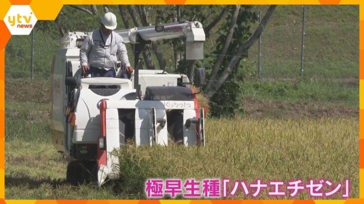 「色、艶、香りとしっかりした食感」早場米の収穫はじまる　猛暑に負けず品質良好　滋賀・高島市　　