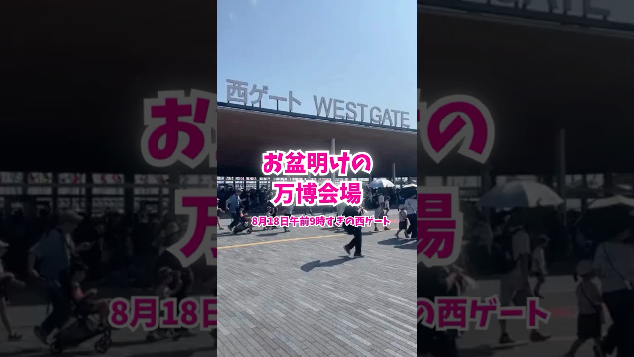 ↑現在のようすはコチラ お盆休み明けの万博会場はどんな感じ?#大阪関西万博 #万博 #読売テレビニュース
