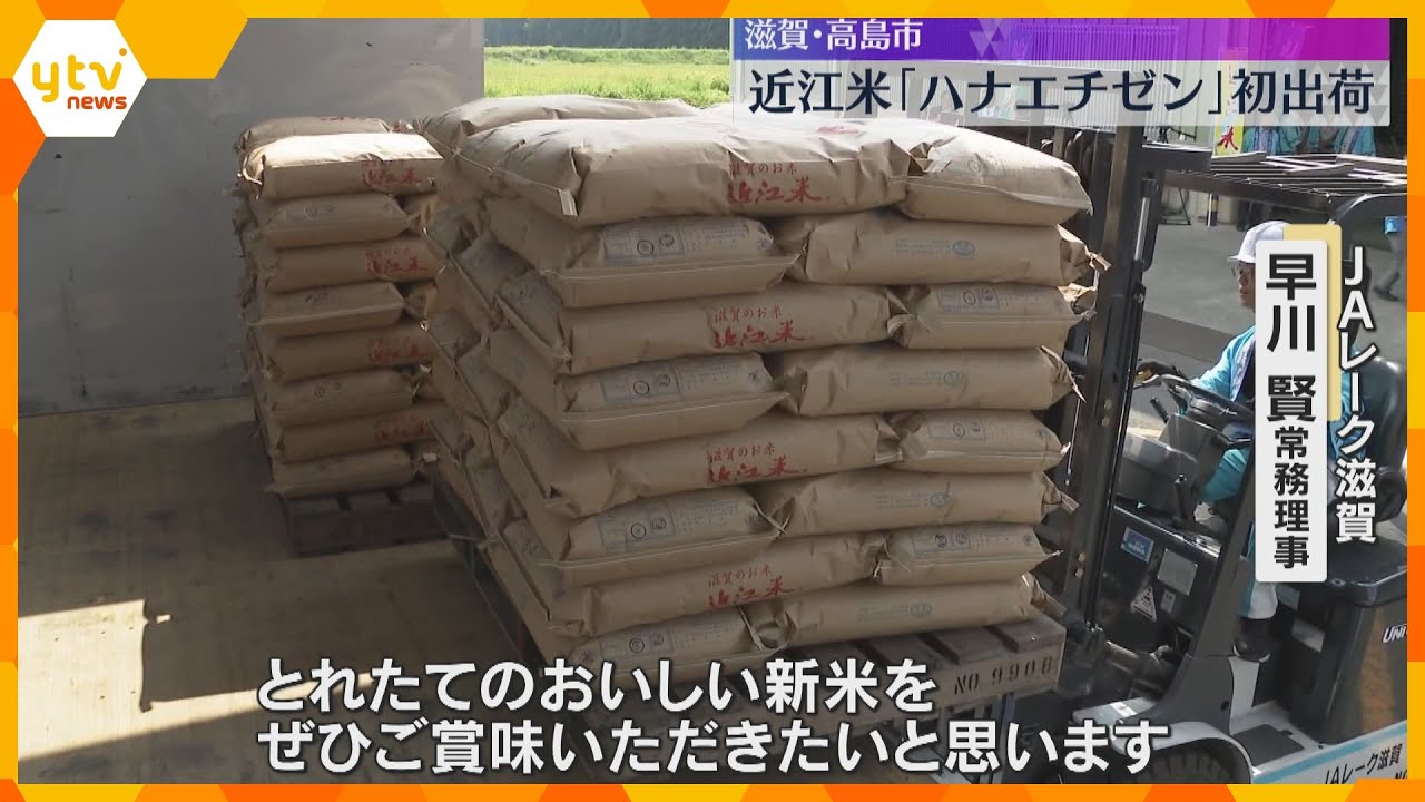 「良い品質のものができた」近江米の早場米初出荷 1等米に格付け、収穫量も平年並み 滋賀・高島市
