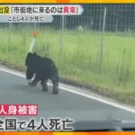 「市街地に来るのは異常」全国でクマに襲われる被害相次ぐ　今年に入り4人が死亡　関西でも警戒が必要
