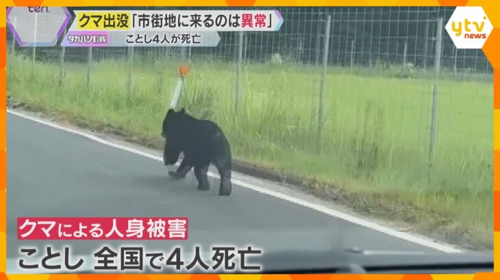 「市街地に来るのは異常」全国でクマに襲われる被害相次ぐ　今年に入り4人が死亡　関西でも警戒が必要