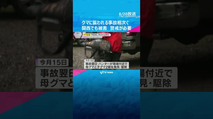 「市街地に来るのは異常」全国でクマに襲われる被害相次ぐ　今年に入り4人が死亡　関西でも警戒が必要 #shorts #読売テレビニュース