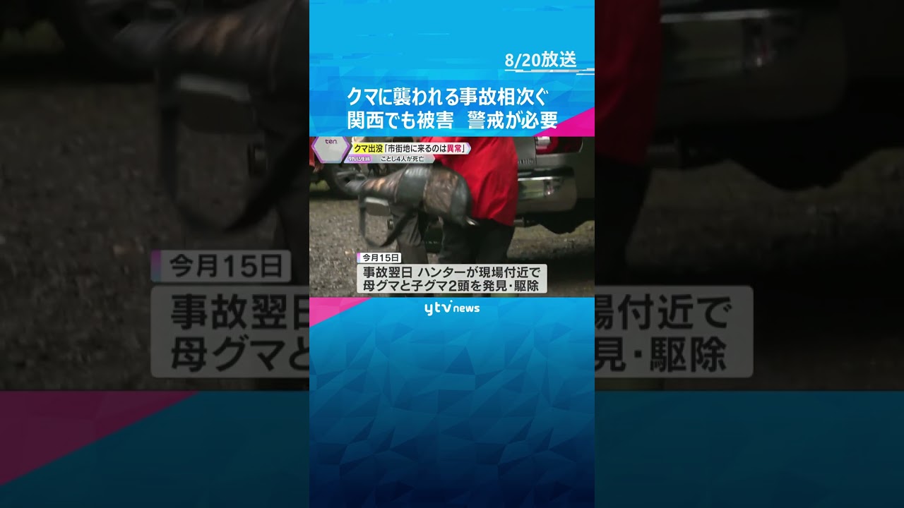 「市街地に来るのは異常」全国でクマに襲われる被害相次ぐ　今年に入り4人が死亡　関西でも警戒が必要 #shorts #読売テレビニュース