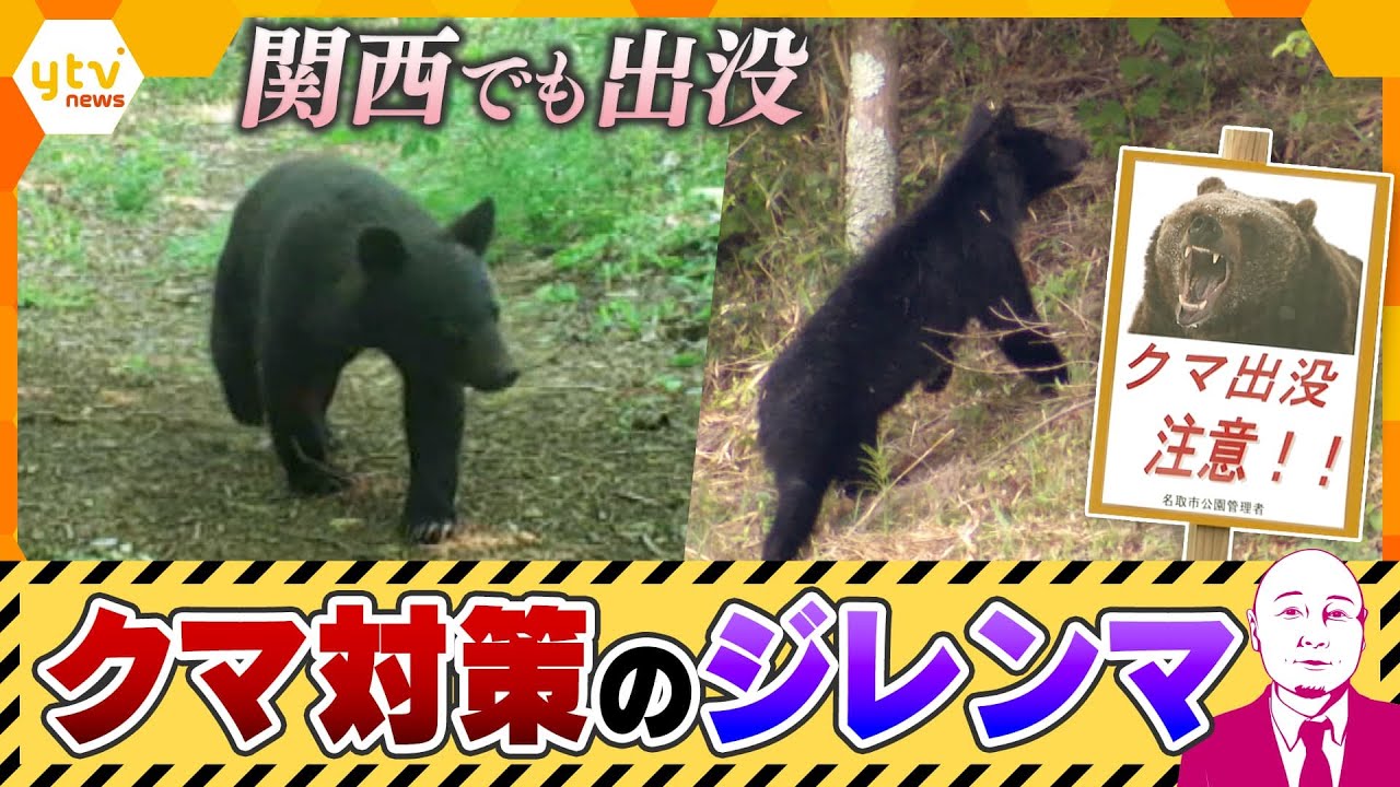 【タカハシ解説】クマ対策のジレンマ 関西の現状は?