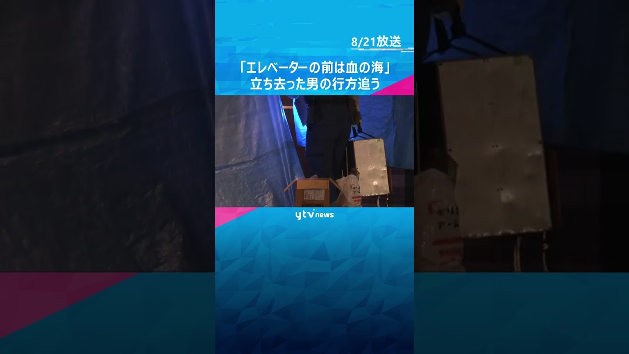 「エレベーターの前は血の海」マンションで女性刺殺　立ち去った男の行方追う　兵庫・神戸 #shorts #読売テレビニュース