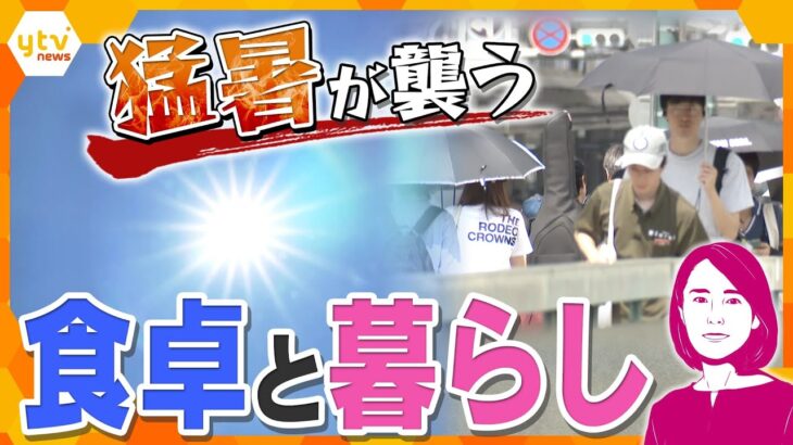 【イブスキ解説】猛暑で野菜が高騰…電気代も…暮らしはどうなる？