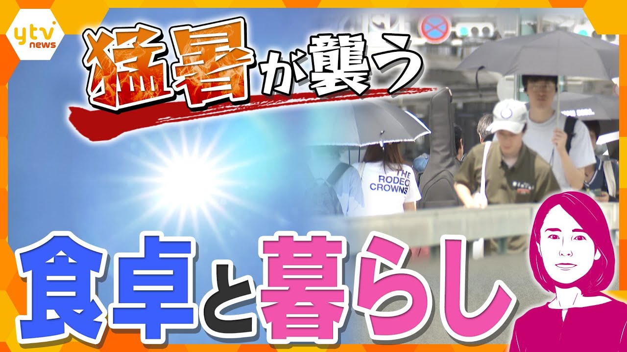 【イブスキ解説】猛暑で野菜が高騰…電気代も…暮らしはどうなる?