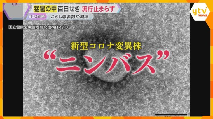 “カミソリをのみ込んだような強烈な喉の痛み” 新型コロナ「ニンバス」感染拡大　百日せきも流行続く