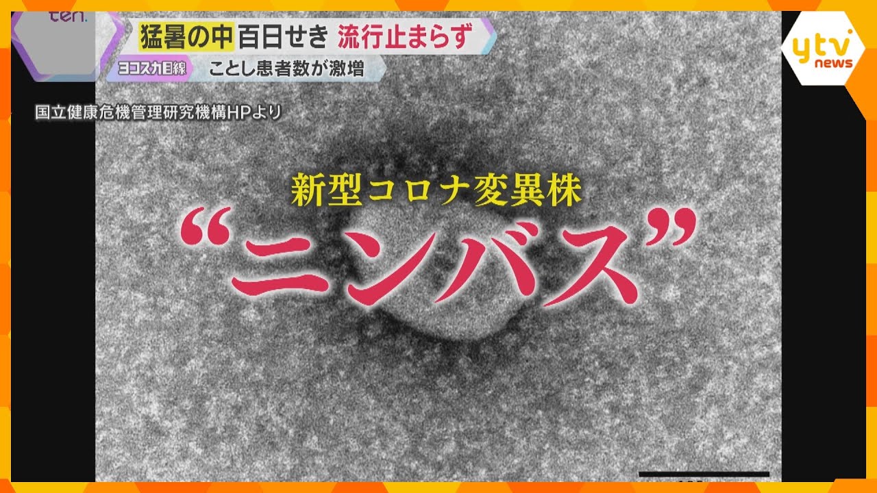 “カミソリをのみ込んだような強烈な喉の痛み” 新型コロナ「ニンバス」感染拡大 百日せきも流行続く