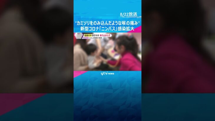 “カミソリをのみ込んだような強烈な喉の痛み” 新型コロナ「ニンバス」感染拡大　百日せきも流行続く　#shorts #読売テレビニュース