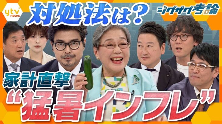 【ジグザグ考論】エアコンの使い過ぎで電気代が…　暑すぎて野菜の価格が…　家計が悲鳴！猛暑インフレにどう対処する？【ニュースジグザグ】