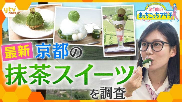 抹茶は今世界的ブーム！『抹茶といえばココ』最新の抹茶スイーツを調査【かんさい情報ネット ten.　あっちこっちアダチ】