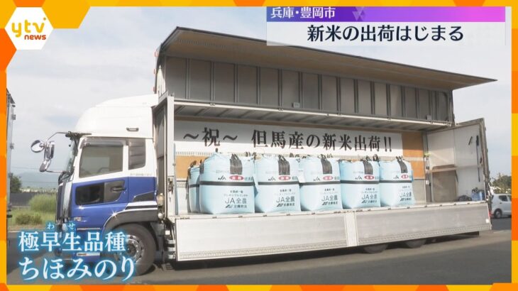 「たくさん食べて」今年収穫の新米『ちほみのり』の出荷始まる　品質は最も良い一等米　兵庫・豊岡市