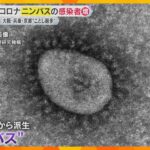 オミクロン株から派生した『ニンバス』 新型コロナの感染者が今年最多に　検査受けずに帰宅する人も