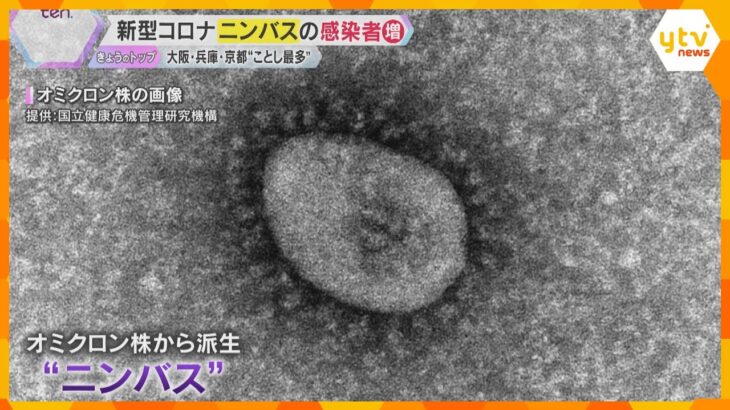 オミクロン株から派生した『ニンバス』 新型コロナの感染者が今年最多に　検査受けずに帰宅する人も