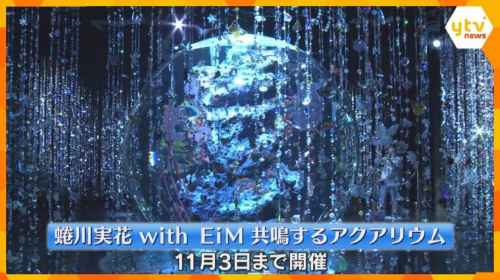 神戸の水族館で蜷川実花さんら水槽アート作品を展示　幻想的な空間の日本最大級の球体型水槽イベント
