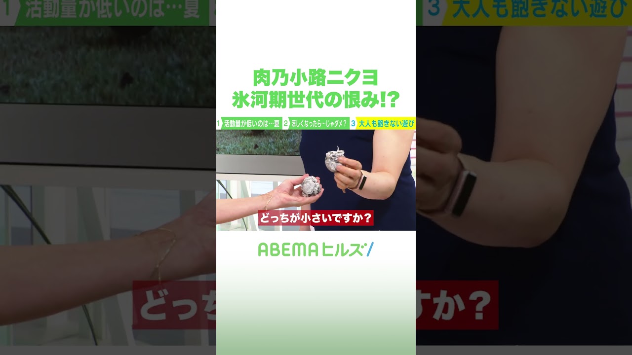 肉乃小路ニクヨ 氷河期世代の恨み!? #アベヒル #Shorts