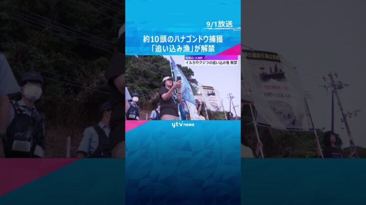 イルカやクジラの「追い込み漁」解禁　約10頭のハナゴンドウを捕獲　和歌山・太地町#shorts　#読売テレビニュース