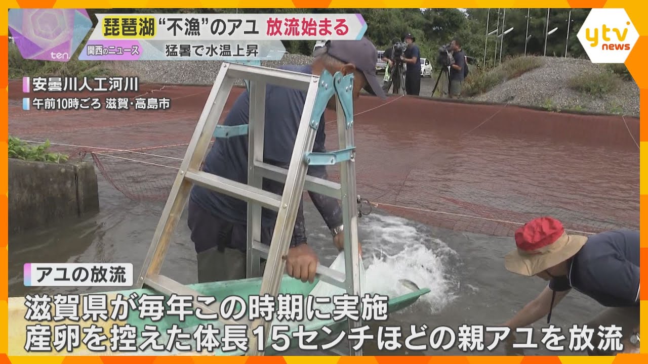琵琶湖で“不漁”のアユ放流始まる　例年より8トン多い20トン　猛暑で水温上昇、ふ化や成長進まず