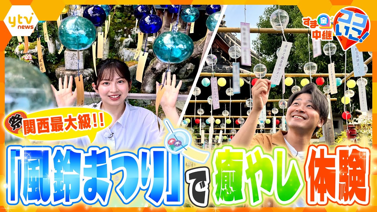 風鈴が奏でる涼音！関西最大級の癒やし空間「風鈴まつり」絶景中継【す・またん！】