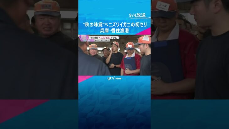 ”秋の味覚”ベニズワイガニの初セリ　威勢のよい掛け声飛び交う、初日19トン水揚げ