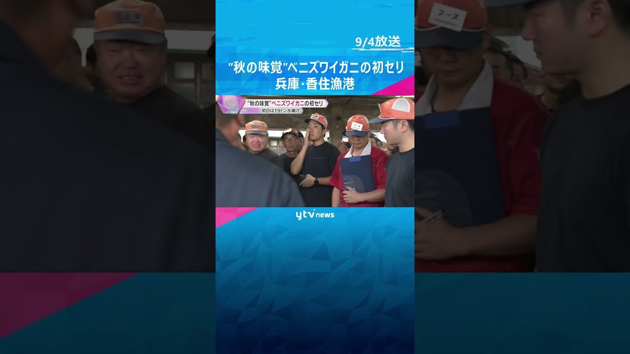”秋の味覚”ベニズワイガニの初セリ　威勢のよい掛け声飛び交う、初日19トン水揚げ